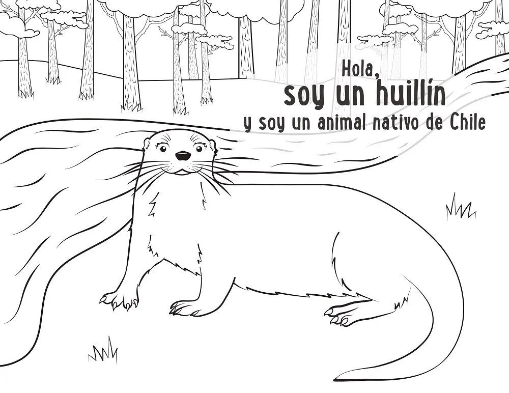 Celebra la Semana del Árbol en casa con material educativo online sobre el bosque nativo de la Patagonia | Ladera Sur Celebra la Semana del Árbol en casa con material educativo online sobre el bosque nativo de la Patagonia | Ladera Sur