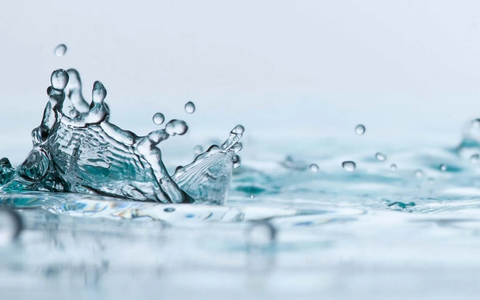 Hermosas Gotas de Agua en HD - Waterdrops HQ Images | Fotos e ... Hermosas Gotas de Agua en HD - Waterdrops HQ Images | Fotos e ...