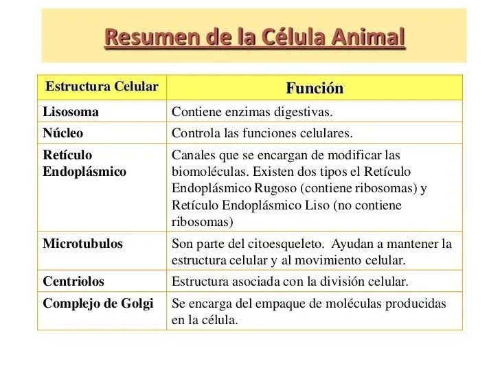 La celula animal y vegetal