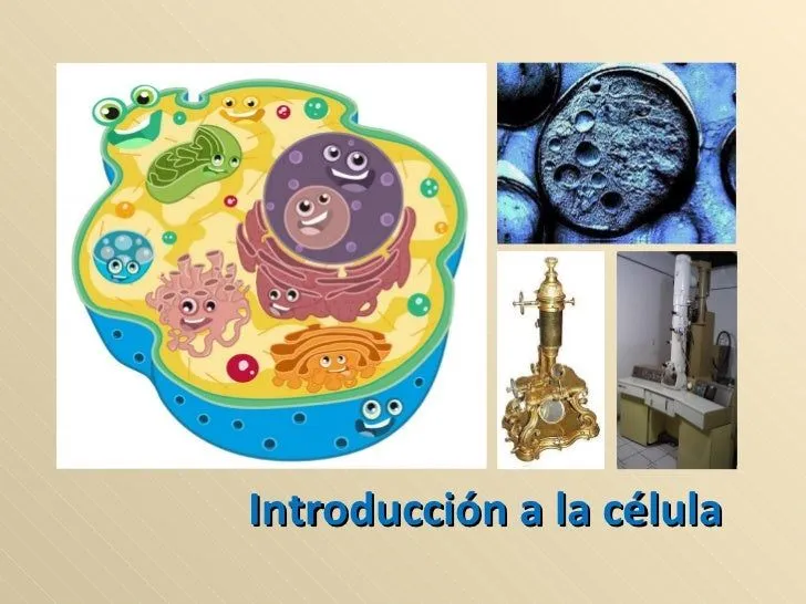 La célula introducción