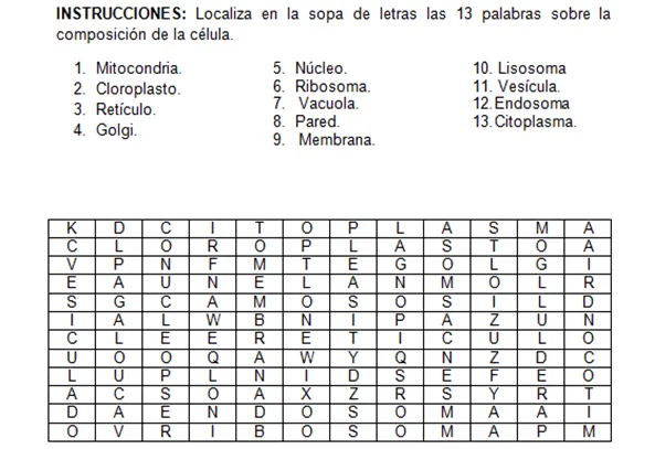 La Célula: SECCIÓN DE TAREAS