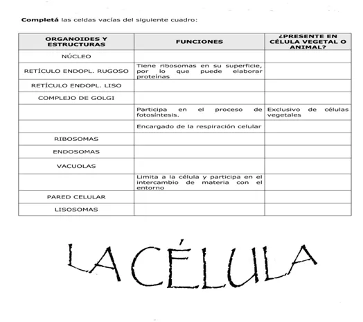 La Célula: SECCIÓN DE TAREAS