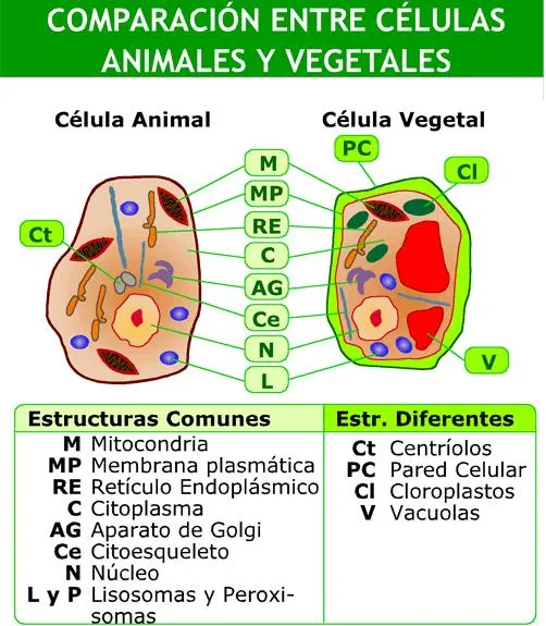 6f6e56b8-7ee7-44e2-97be-2512 ...