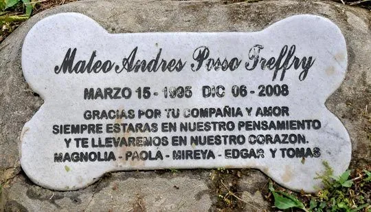 Cementerio para almas de cuatro patas - KienyKe Cementerio para almas de cuatro patas - KienyKe