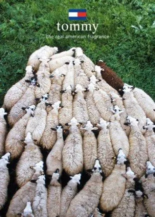 EN EL CENTRO DE ANAHUAC: A VIVIR EN 3D EN EL CENTRO DE ANAHUAC: A VIVIR EN 3D