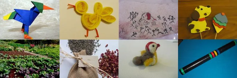 Centro CIAR | ¡Nuestro centro de ocio natural! Actividades en Zaragoza