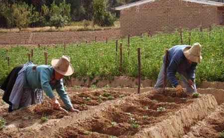 Centro Gnóstico Anael | Sexo y naturaleza