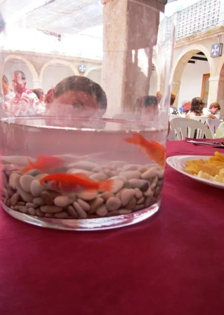Centros de mesa con peceras para bautizo - Imagui Centros de mesa con peceras para bautizo - Imagui