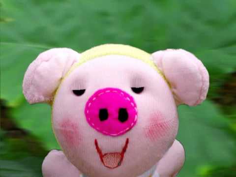 Cerdito Porky :O - YouTube