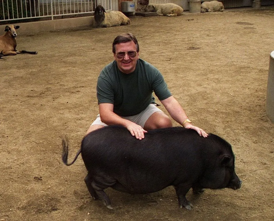 cerdito vietnamita | Cuidar de tu mascota es facilisimo. cerdito vietnamita | Cuidar de tu mascota es facilisimo.