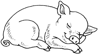 Cerdo Dormido para colorear