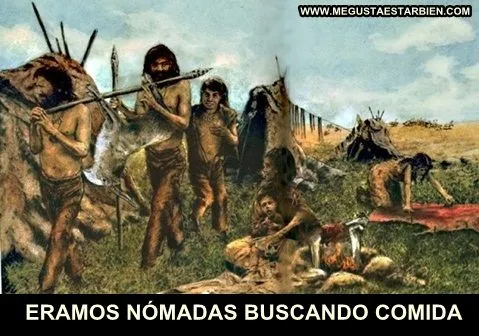Lo que han hecho los cereales por la humanidad | Me gusta estar bien Lo que han hecho los cereales por la humanidad | Me gusta estar bien
