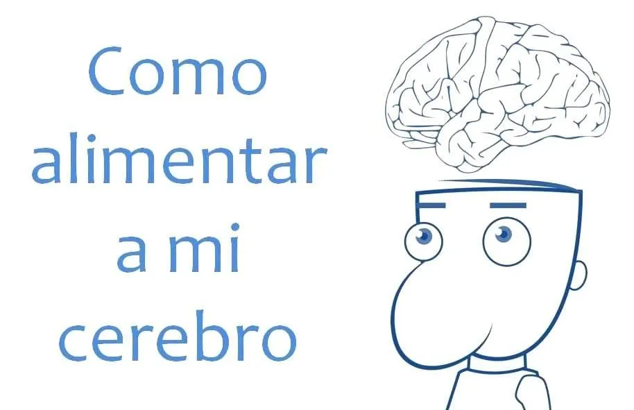 El cerebro para niños para colorear - Imagui El cerebro para niños para colorear - Imagui