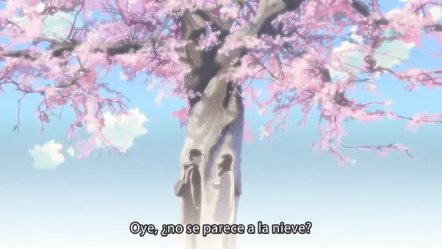 Gallery For > Arbol De Cerezo Anime