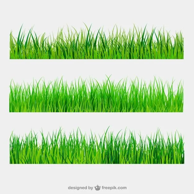 Cesped | Fotos y Vectores gratis