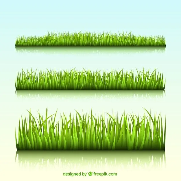 Cesped | Fotos y Vectores gratis