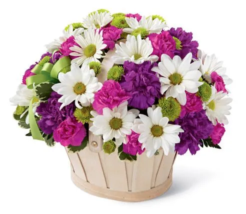 GIFS HERMOSOS: HERMOSAS FLORES encontradas en la web GIFS HERMOSOS: HERMOSAS FLORES encontradas en la web