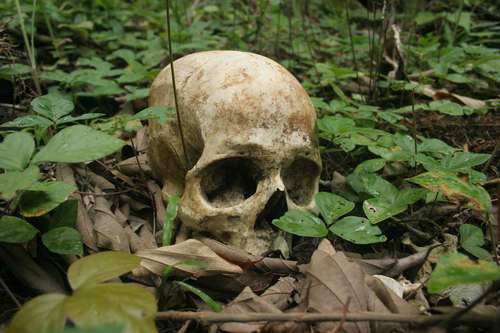 Chacatorex: A cinco años de la Masacre de Viejo Velasco. Chacatorex: A cinco años de la Masacre de Viejo Velasco.