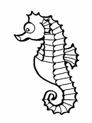 La Chachipedia: Caballitos de mar para colorear. Dibujos de ...