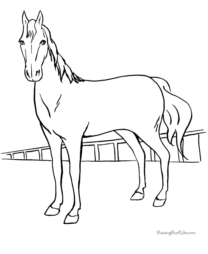 La Chachipedia: Dibujos de caballos para colorear