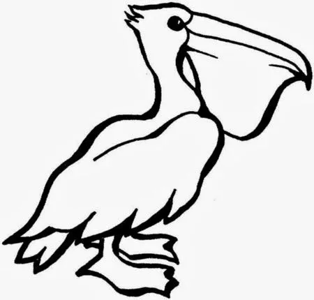 La Chachipedia: Dibujos para colorear pelícanos