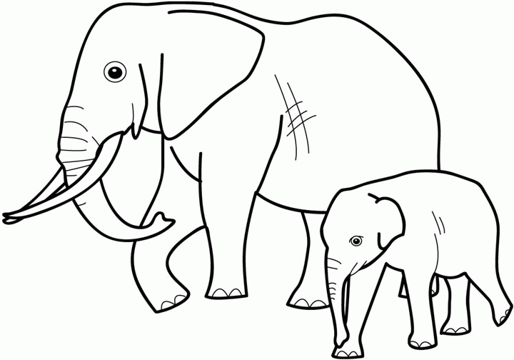 Maestra de Primaria: Dibujos de elefantes para colorear, para ... Maestra de Primaria: Dibujos de elefantes para colorear, para ...