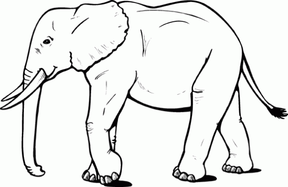 La Chachipedia: Dibujos de elefantes para colorear, para imprimir ... La Chachipedia: Dibujos de elefantes para colorear, para imprimir ...