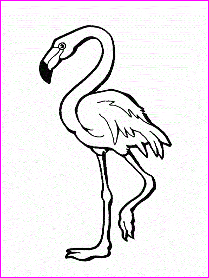 La Chachipedia: Dibujos de flamencos para colorear, para imprimir ... La Chachipedia: Dibujos de flamencos para colorear, para imprimir ...