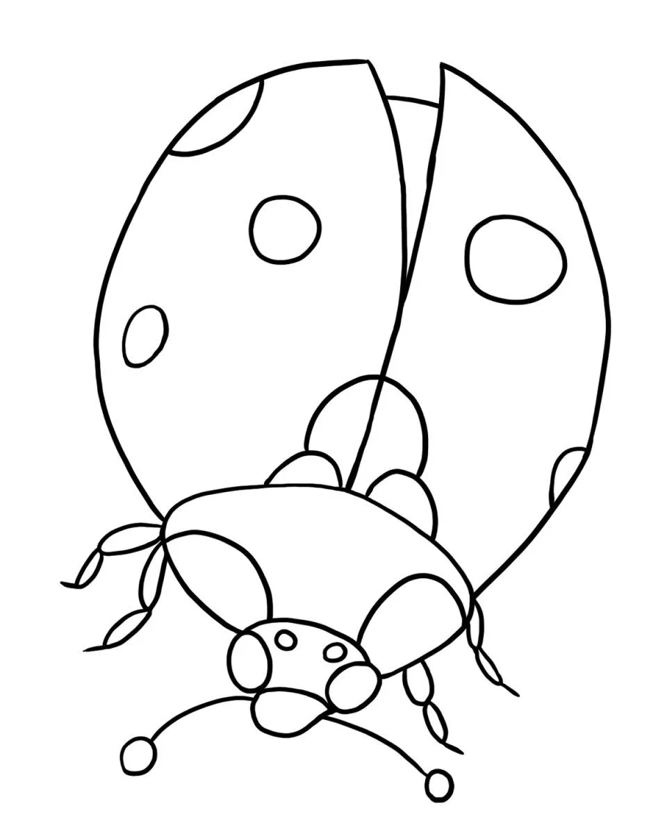La Chachipedia: Dibujos de Mariquitas para colorear, gifs animados ...