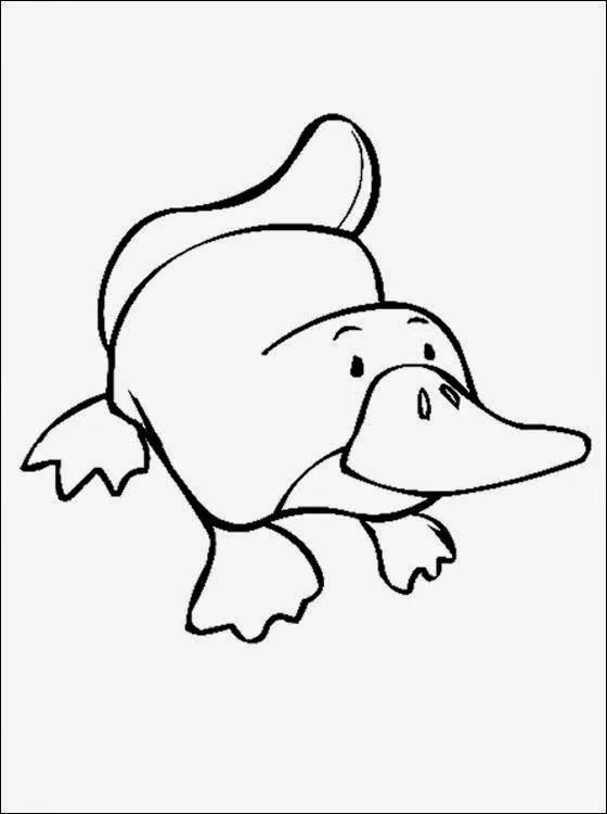 La Chachipedia: Dibujos de ornitorrincos para colorear o imprimir ... La Chachipedia: Dibujos de ornitorrincos para colorear o imprimir ...