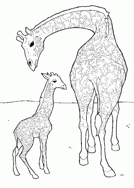 La Chachipedia: Jirafas para colorear, dibujos coloreados para ... La Chachipedia: Jirafas para colorear, dibujos coloreados para ...