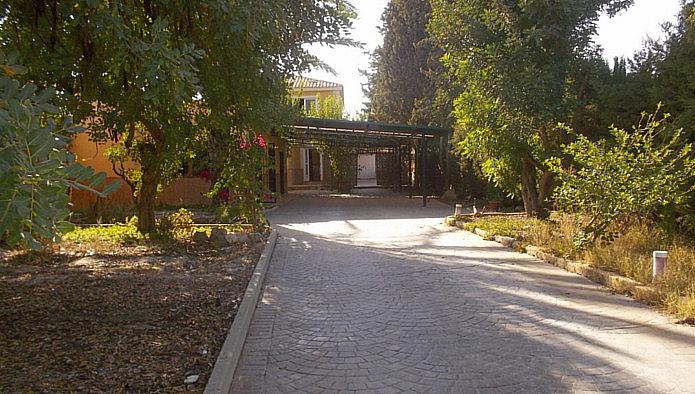 Imagenes de cnolos - Imagui