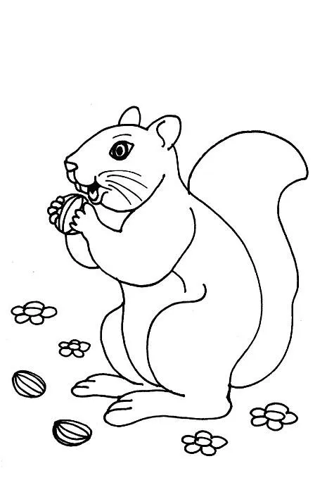 Chango Comiendo Platano Chango Con Un Platano En La Cabeza Chango ...
