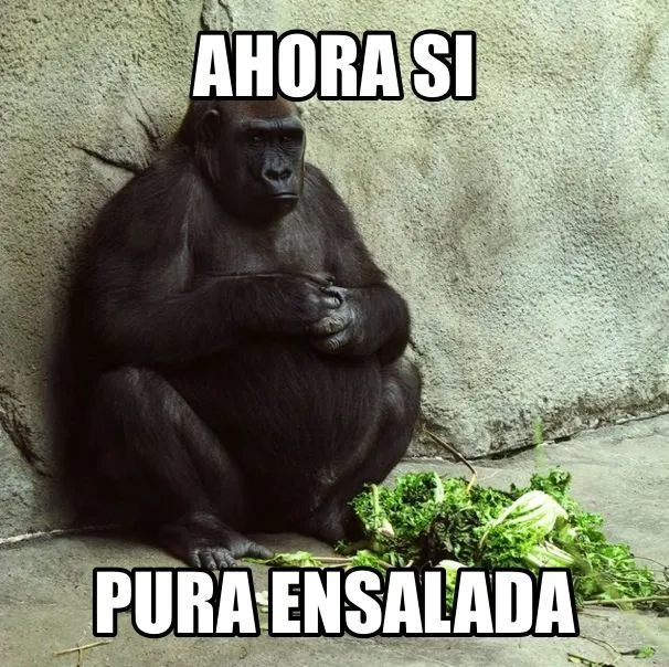 Chango | Memes | Pinterest | Salad