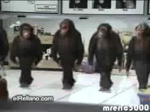changos bailando la cumbia del chango jajajaja - YouTube changos bailando la cumbia del chango jajajaja - YouTube