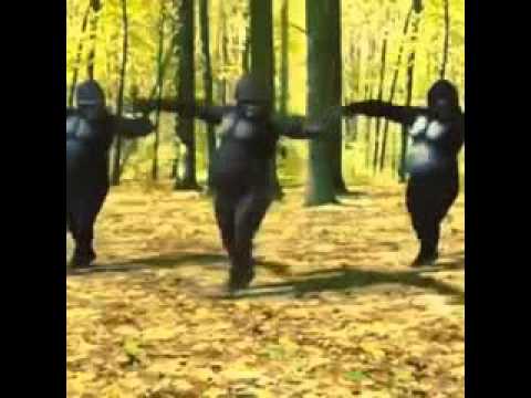 3 changos bailando - YouTube
