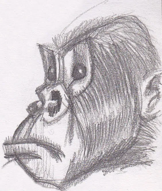 Dibujos de changos a lapiz - Imagui
