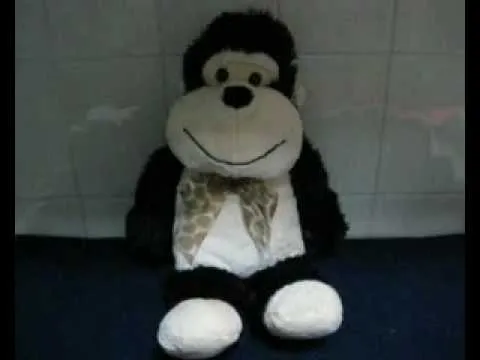 CHANGUITO DE PELUCHE #50 - YouTube