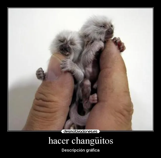 hacer changüitos | Desmotivaciones