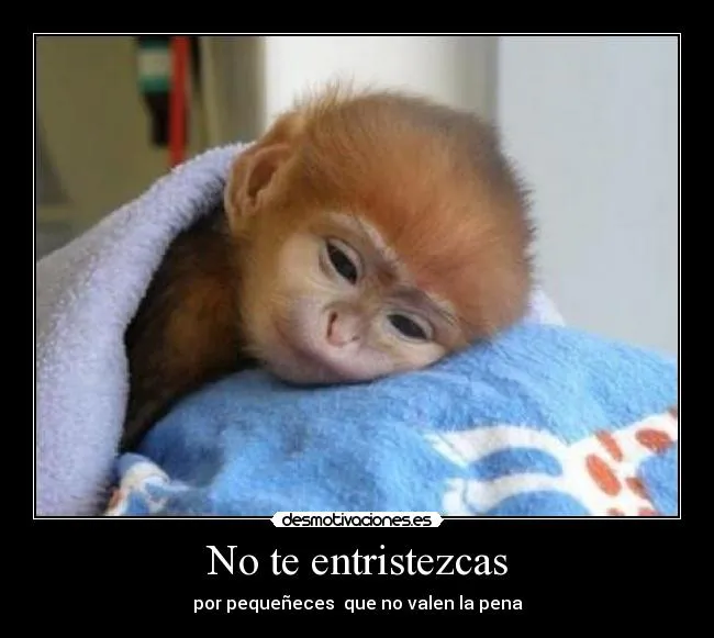 No te entristezcas | Desmotivaciones