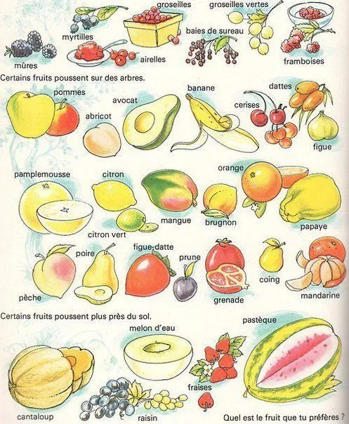 Chapines a Montreal: Francés en imágenes: Les fruits I Chapines a Montreal: Francés en imágenes: Les fruits I