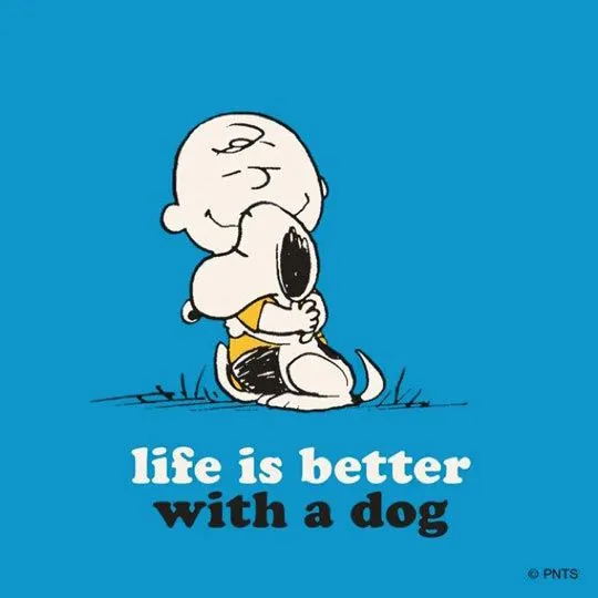 Charlie Brown – Live &amp; Learn