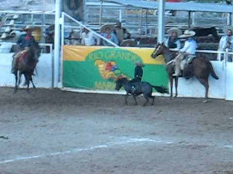 Charrito de 7 yrs jinete de pony bruta!!! - YouTube Charrito de 7 yrs jinete de pony bruta!!! - YouTube