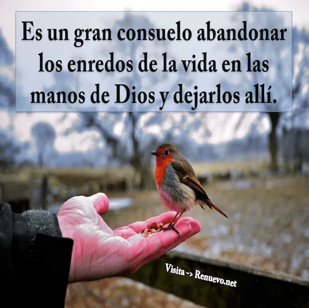 Chat Cristiano - Noticias Cristianas - Reflexiones Cristianas ...