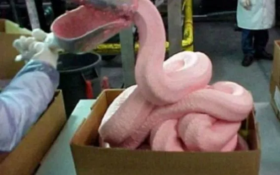 Chef británico gana batalla a McDonald's tras probar que usa carne ... Chef británico gana batalla a McDonald's tras probar que usa carne ...