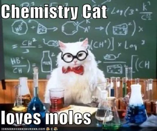 Chemistry Cat | Know Your Meme