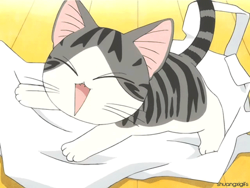 chi's sweet home GIF | Crazy Cat Lady | Pinterest | Chi's Sweet ... chi's sweet home GIF | Crazy Cat Lady | Pinterest | Chi's Sweet ...