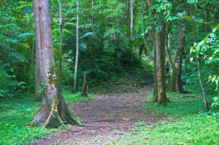 Chiapas y todos sus caminos nos conducen a paisajes naturales que ... Chiapas y todos sus caminos nos conducen a paisajes naturales que ...