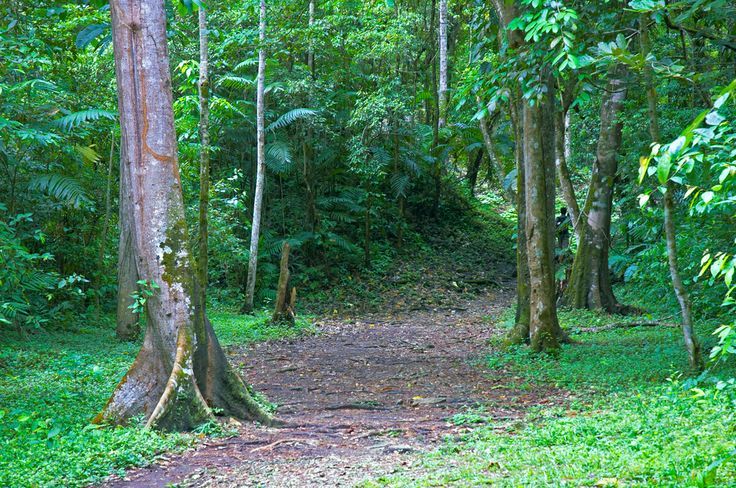 Chiapas y todos sus caminos nos conducen a paisajes naturales que ...