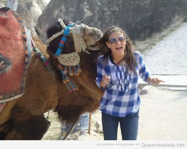 Chica | ¡Qué animalada! | Las fotos, los vídeos y los gifs más ...